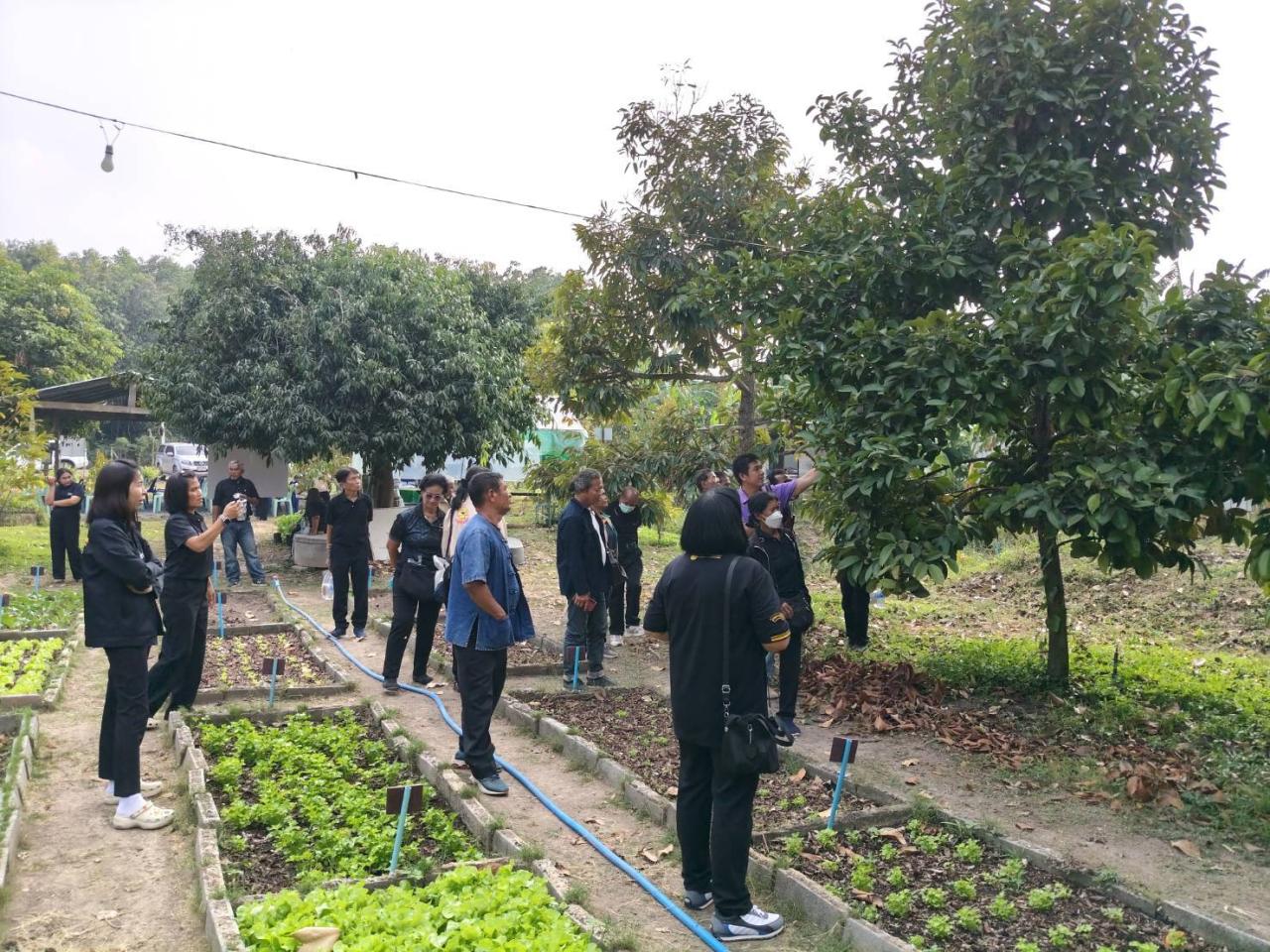 ภาพประกอบที่ 13