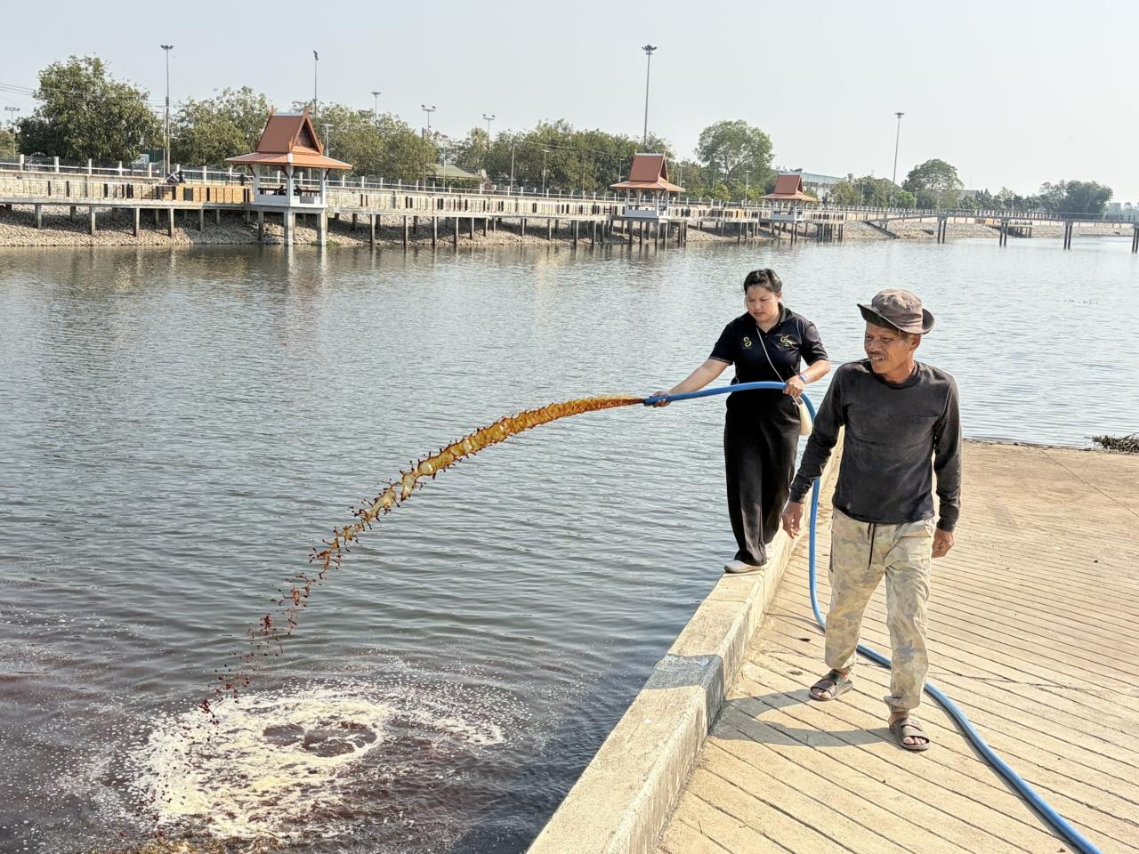 ภาพประกอบที่ 3
