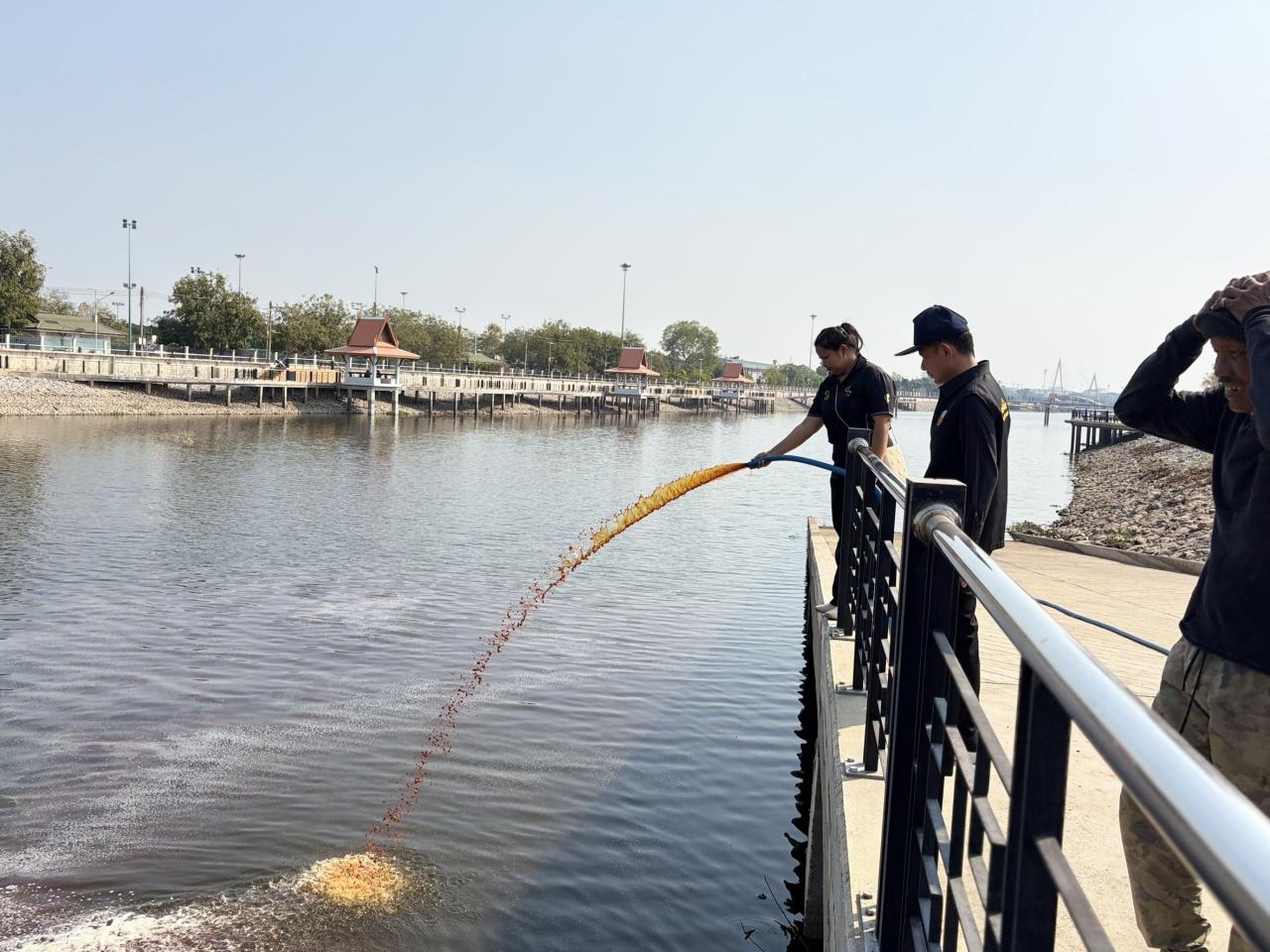 ภาพประกอบที่ 9