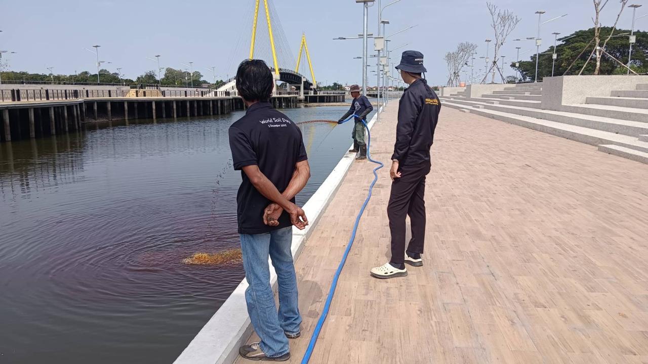 ภาพประกอบที่ 0