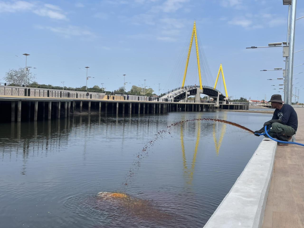 ภาพประกอบที่ 3