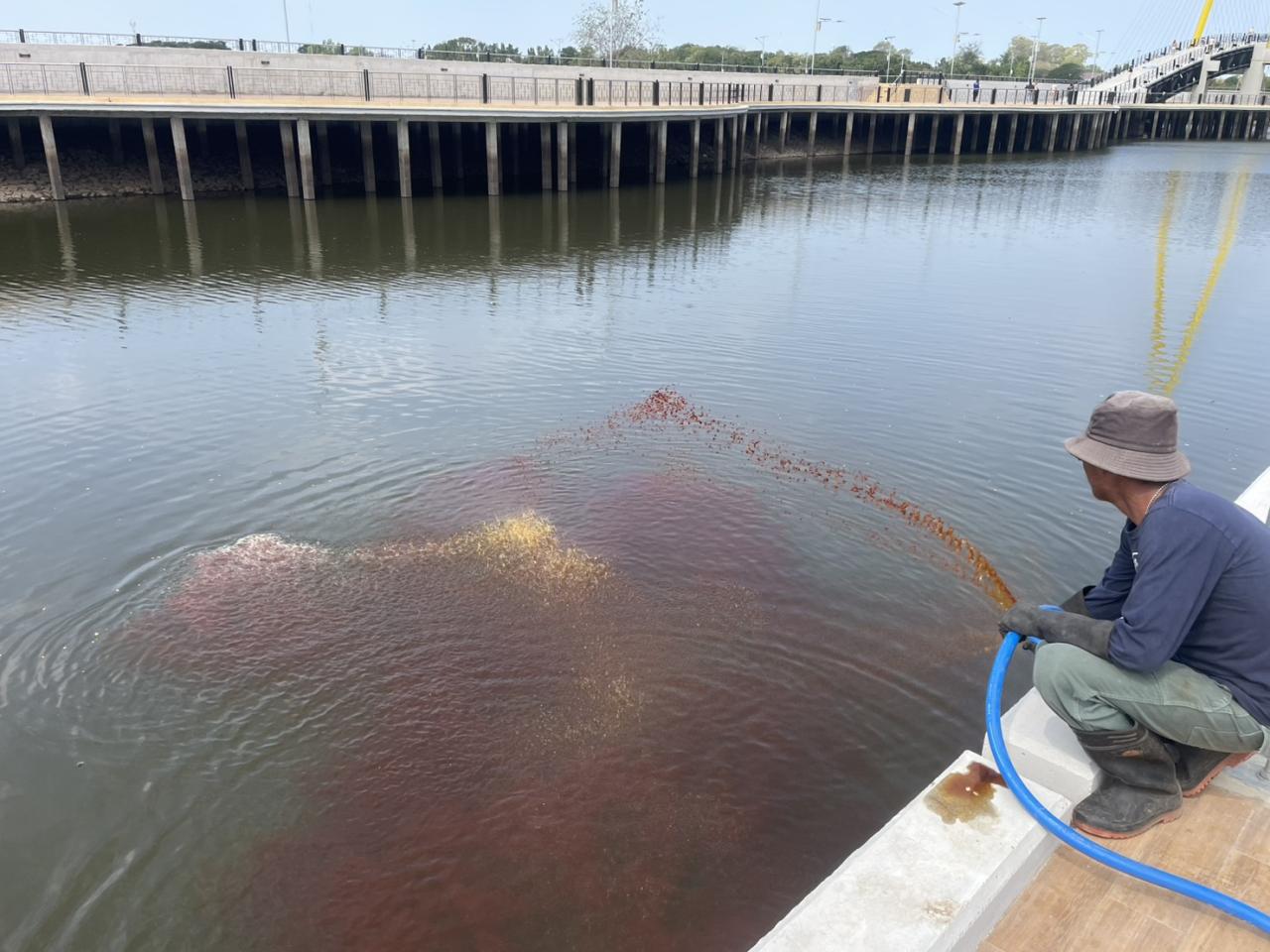 ภาพประกอบที่ 4