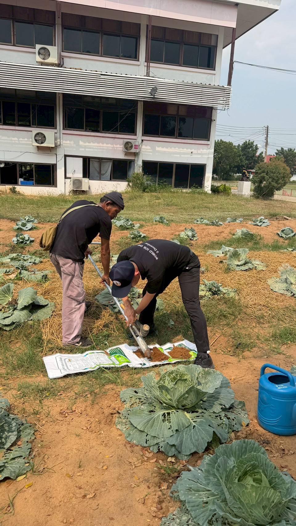 ภาพประกอบที่ 0