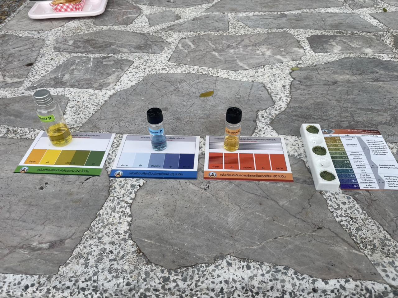 ภาพประกอบที่ 8