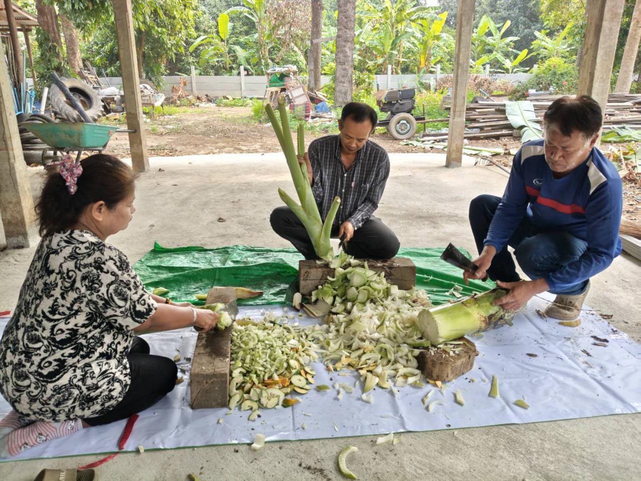 ภาพประกอบที่ 1