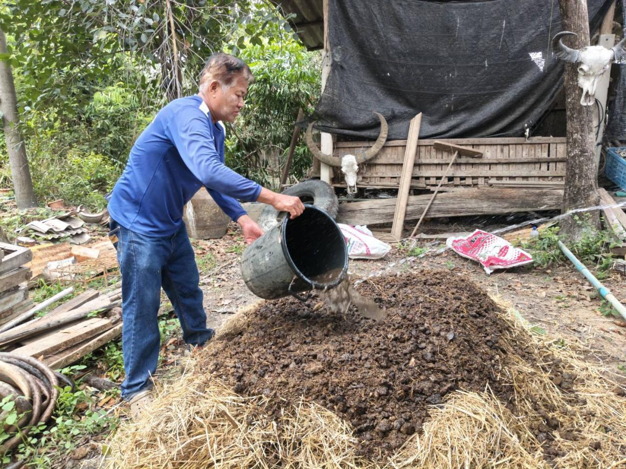 ภาพประกอบที่ 8