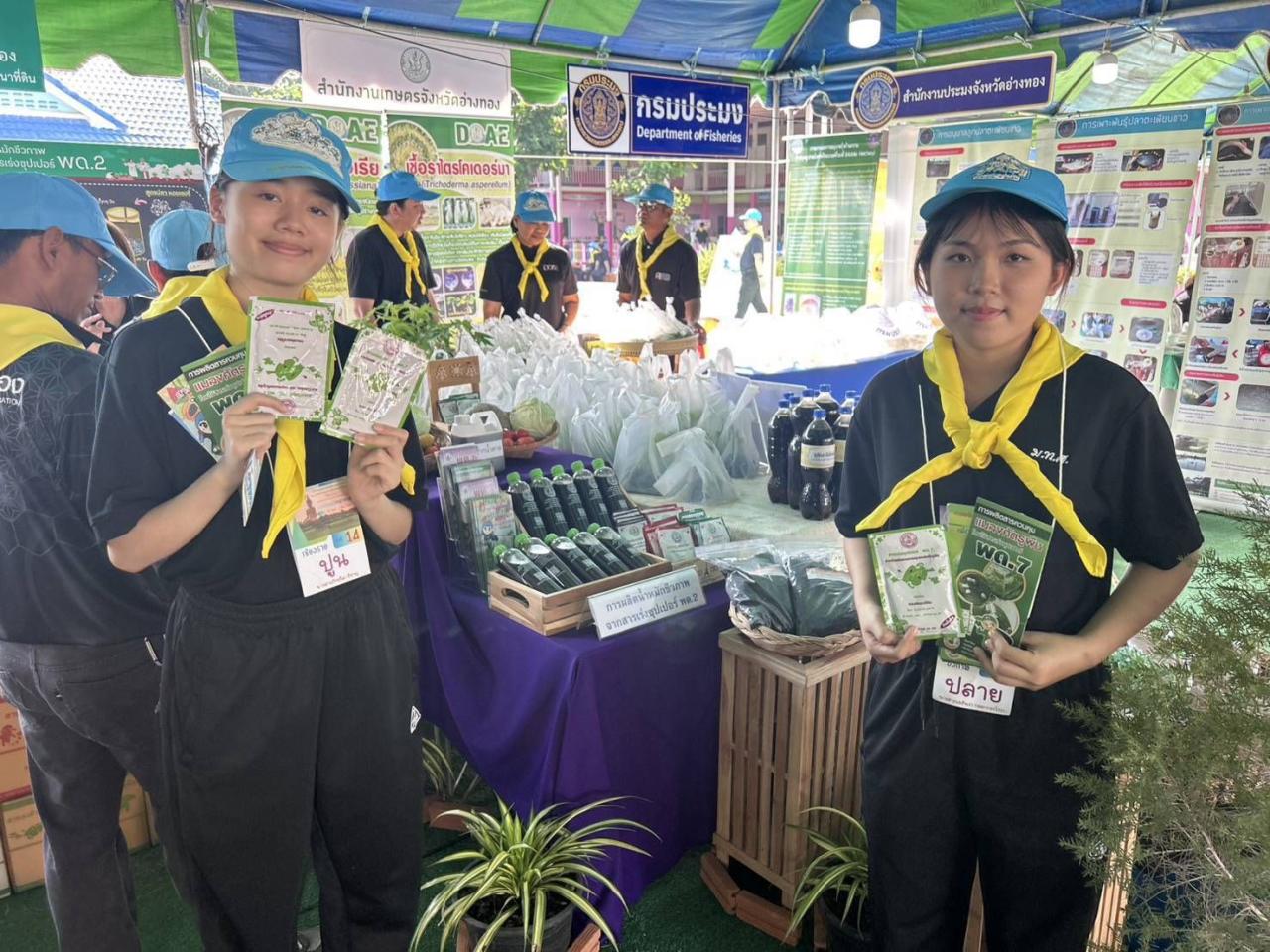 ภาพประกอบที่ 6