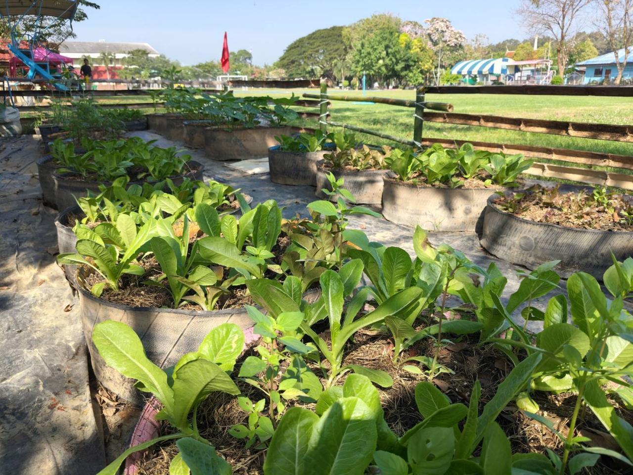 ภาพประกอบที่ 2