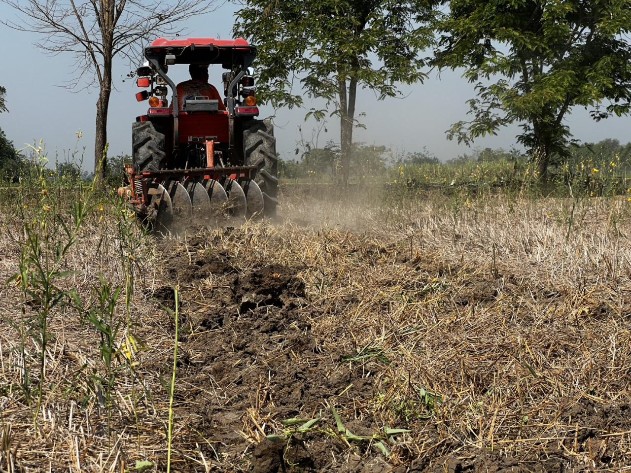 ภาพประกอบที่ 2