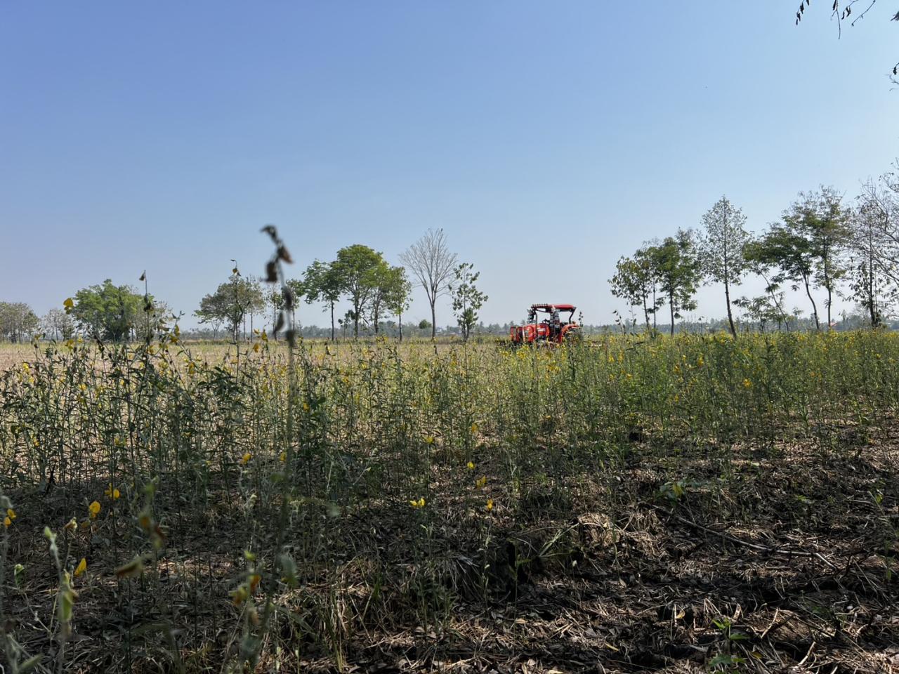 ภาพประกอบที่ 5