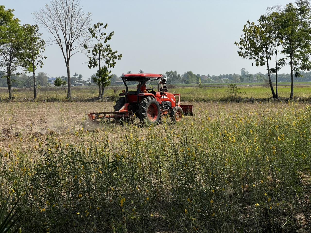 ภาพประกอบที่ 6