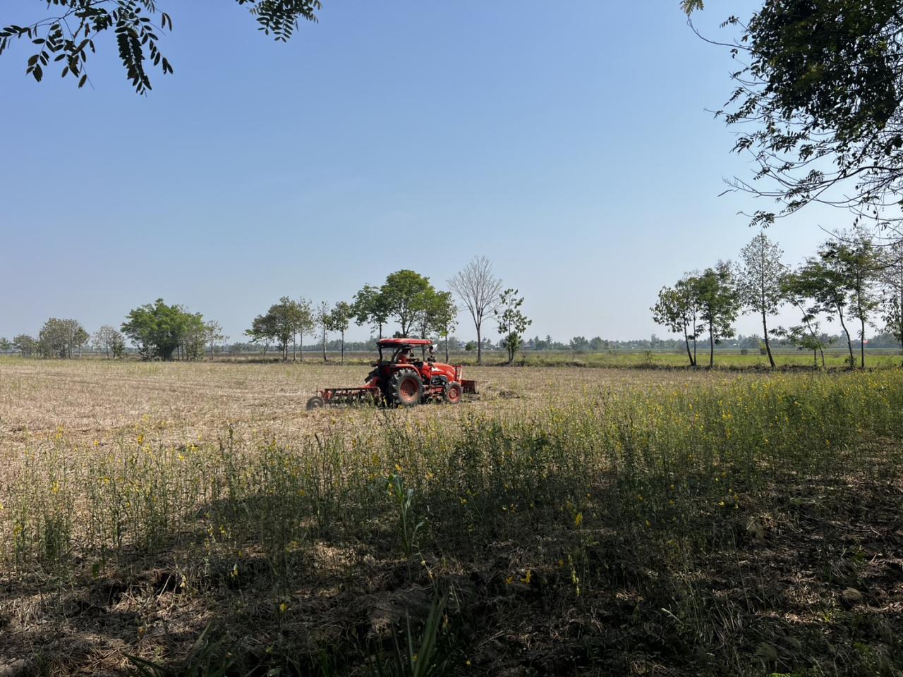 ภาพประกอบที่ 7