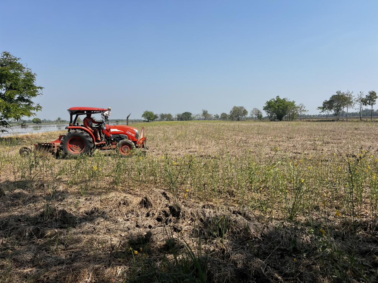 ภาพประกอบที่ 8