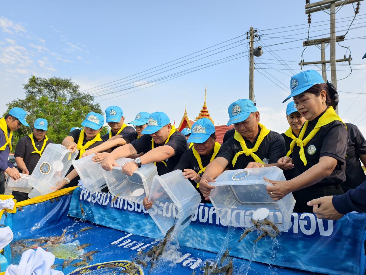 ภาพประกอบที่ 3