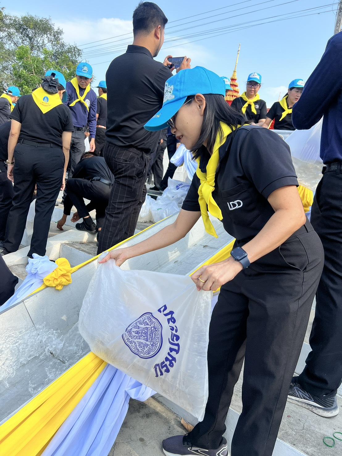 ภาพประกอบที่ 8