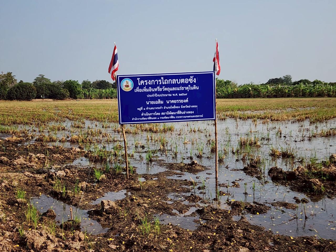 ภาพประกอบที่ 3