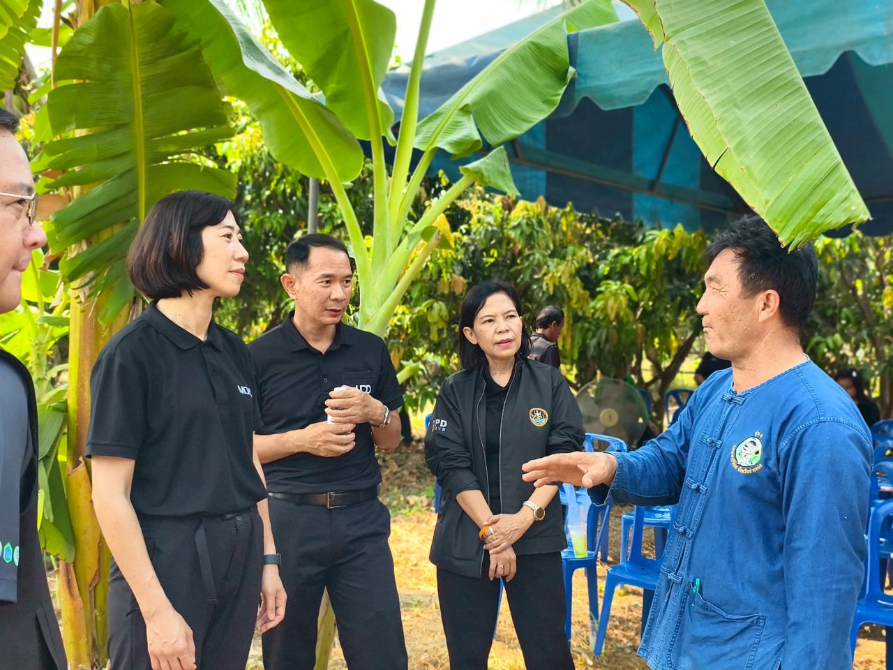 ภาพประกอบที่ 4