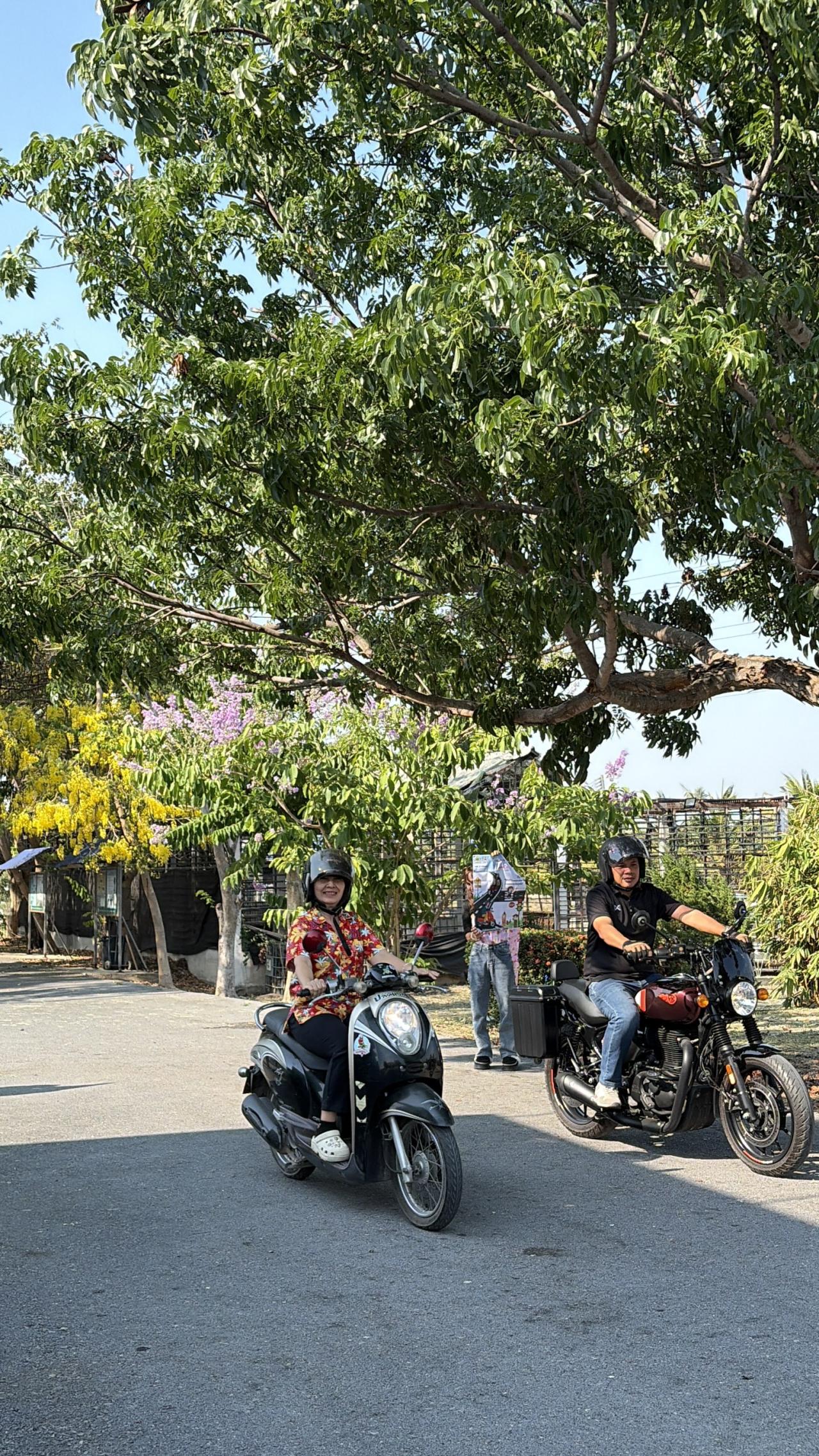 ภาพประกอบที่ 6