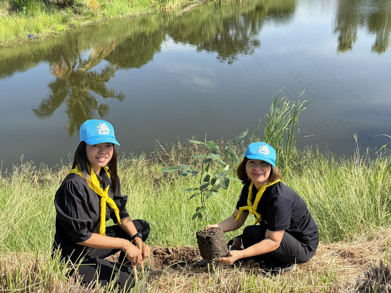 ภาพประกอบที่ 3