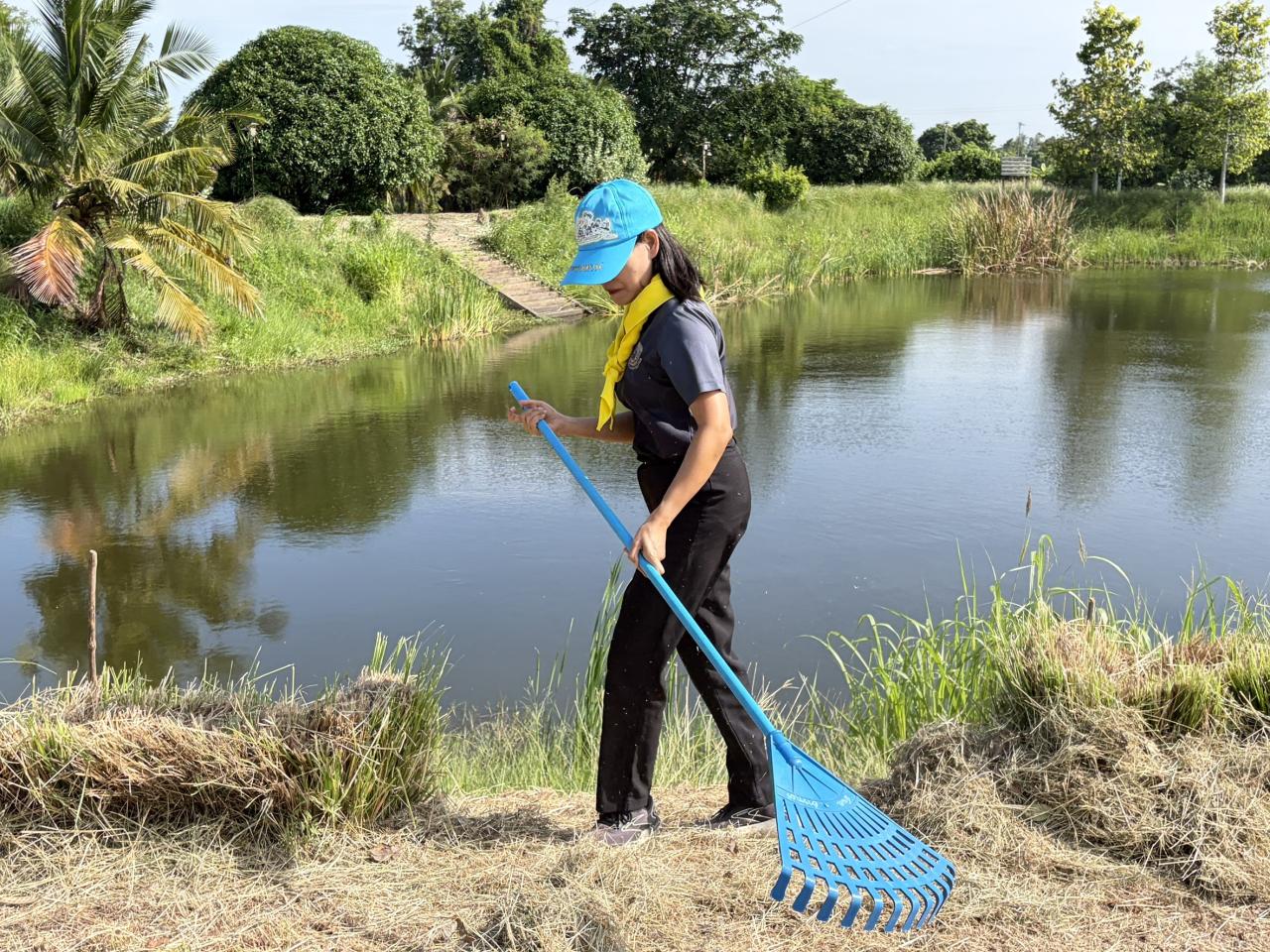 ภาพประกอบที่ 15
