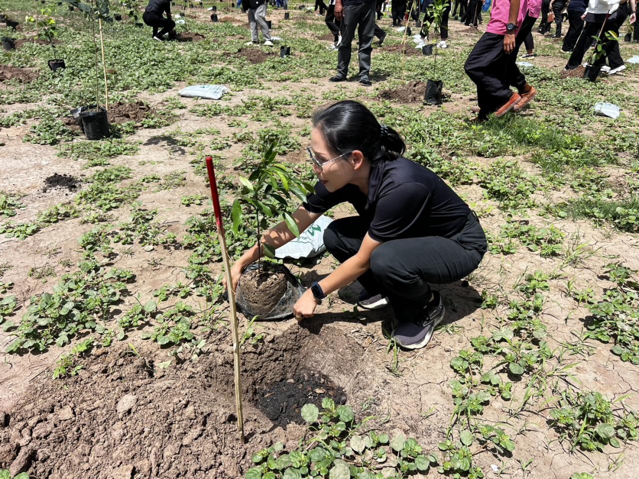 ภาพประกอบที่ 4