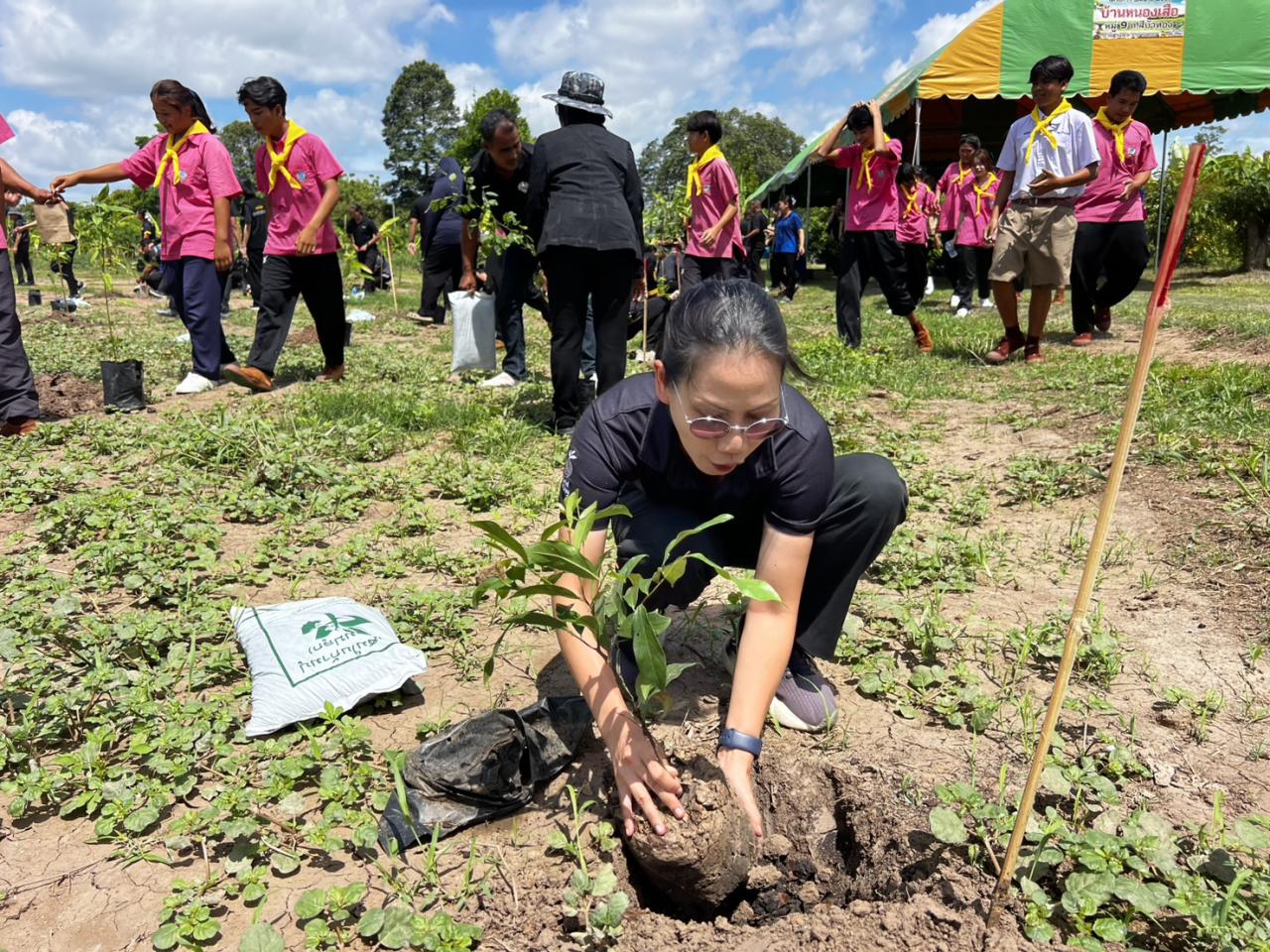 ภาพประกอบที่ 5