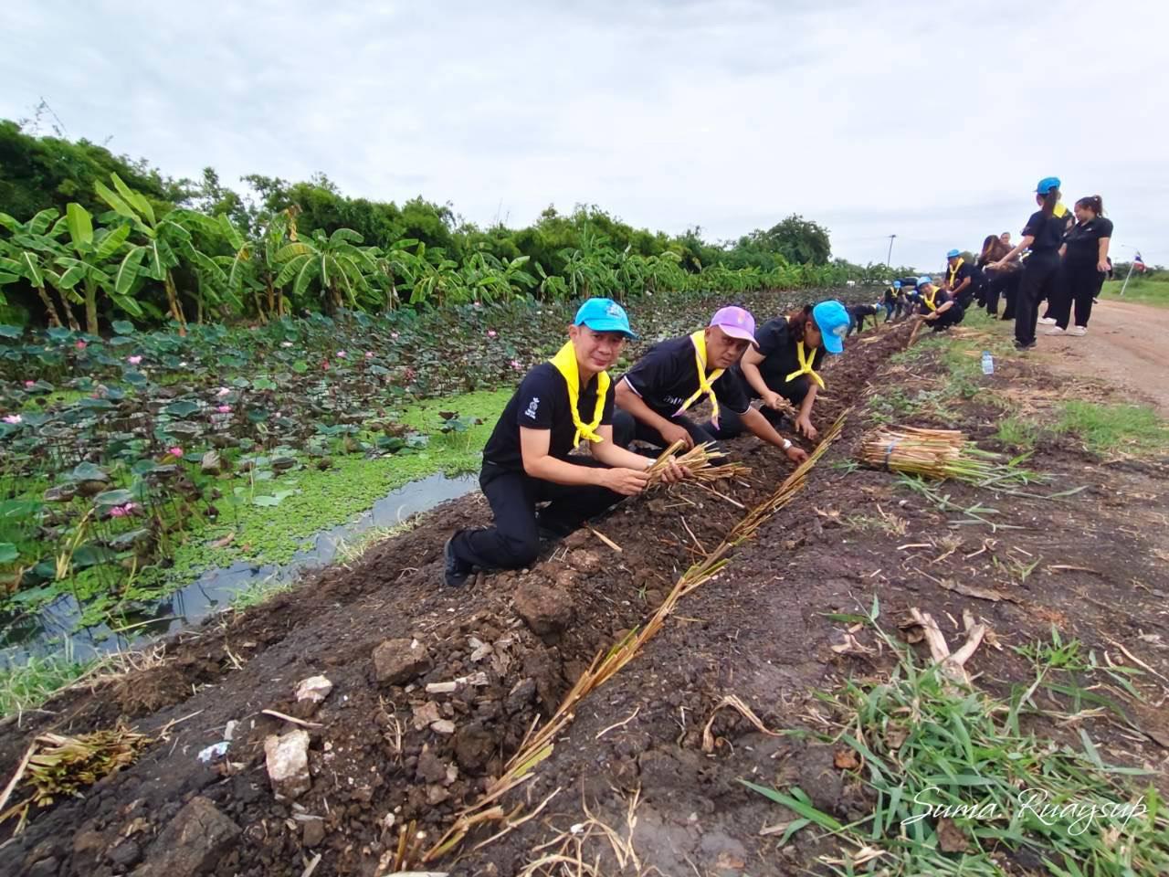 ภาพประกอบที่ 10