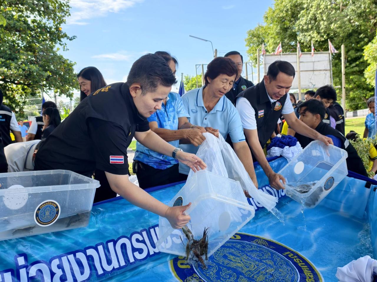 ภาพประกอบที่ 8