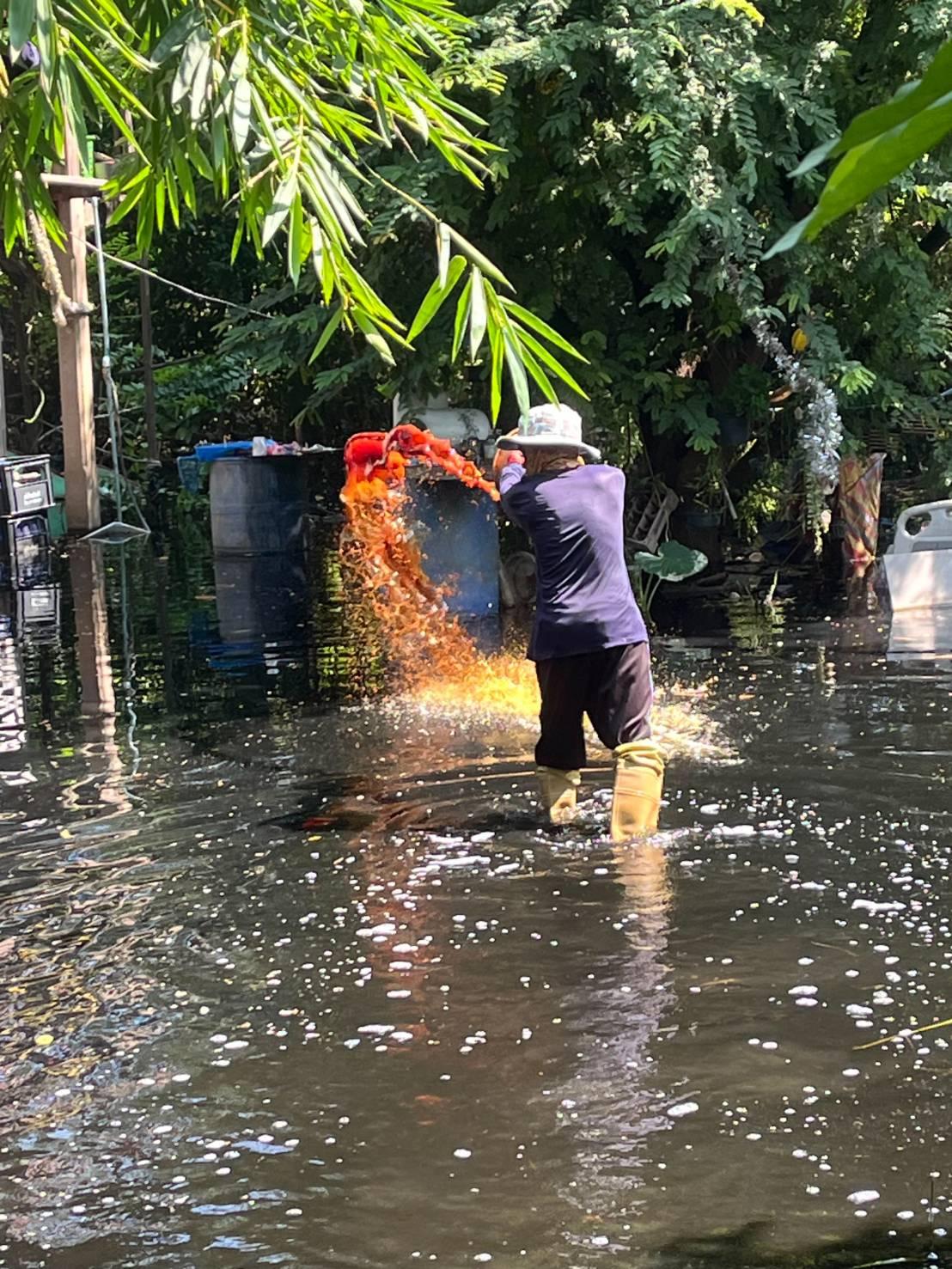 ภาพประกอบที่ 4