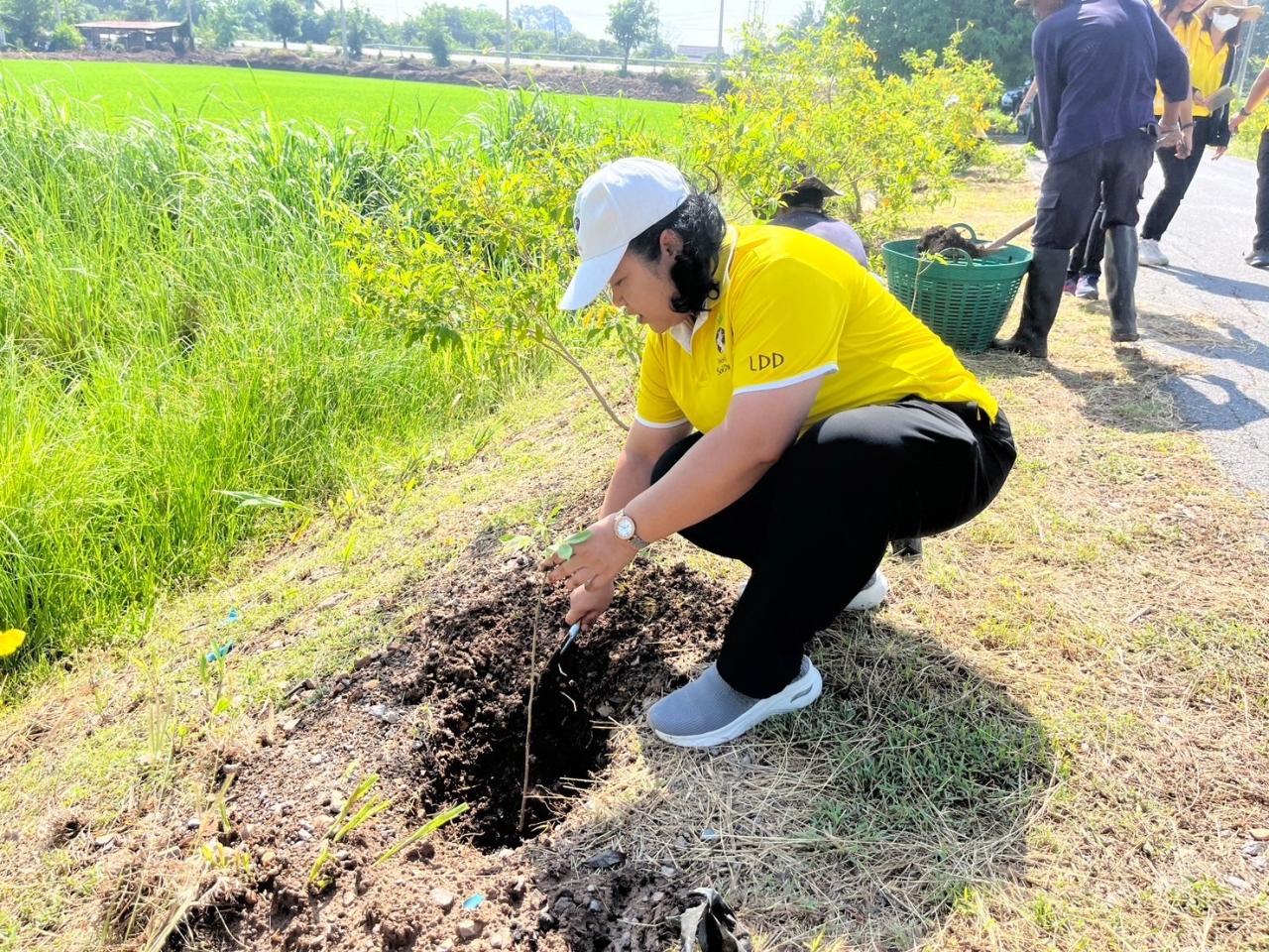 ภาพประกอบที่ 3