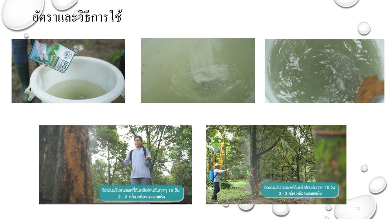 ภาพประกอบที่ 11