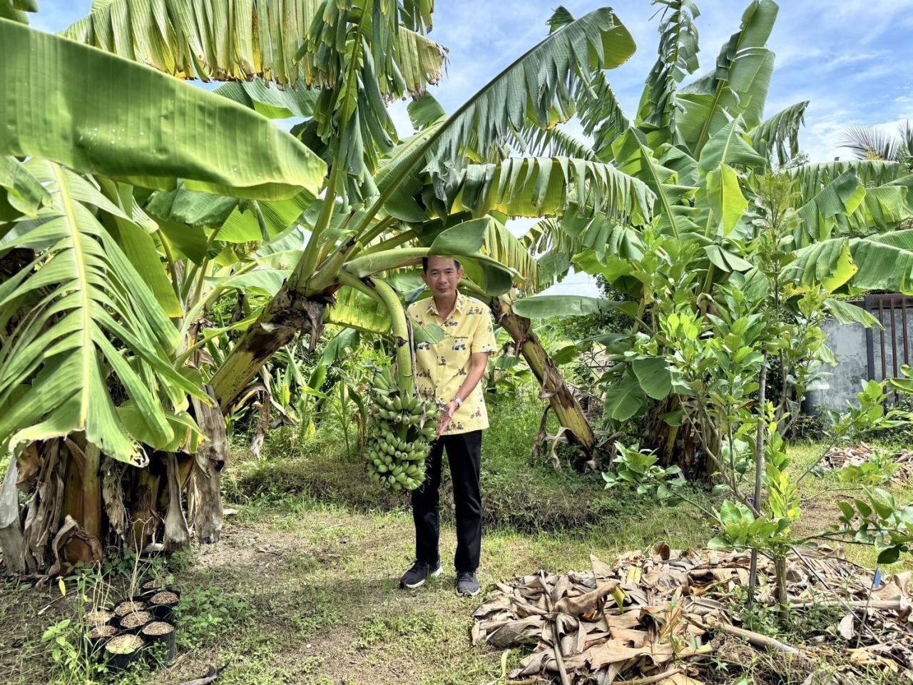 ภาพประกอบที่ 1