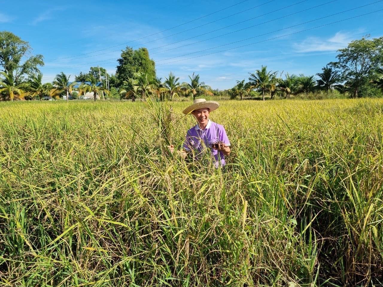 ภาพประกอบที่ 2