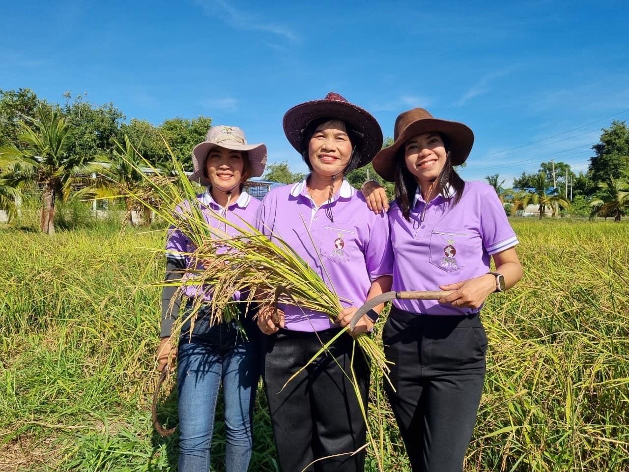 ภาพประกอบที่ 7