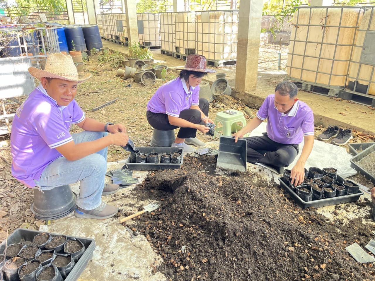 ภาพประกอบที่ 2