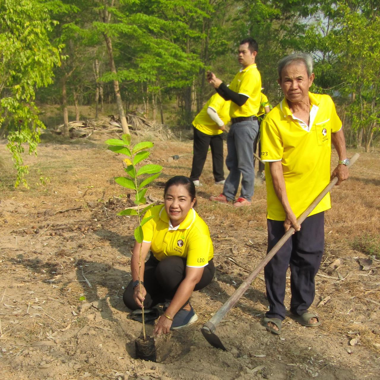 ภาพประกอบที่ 0