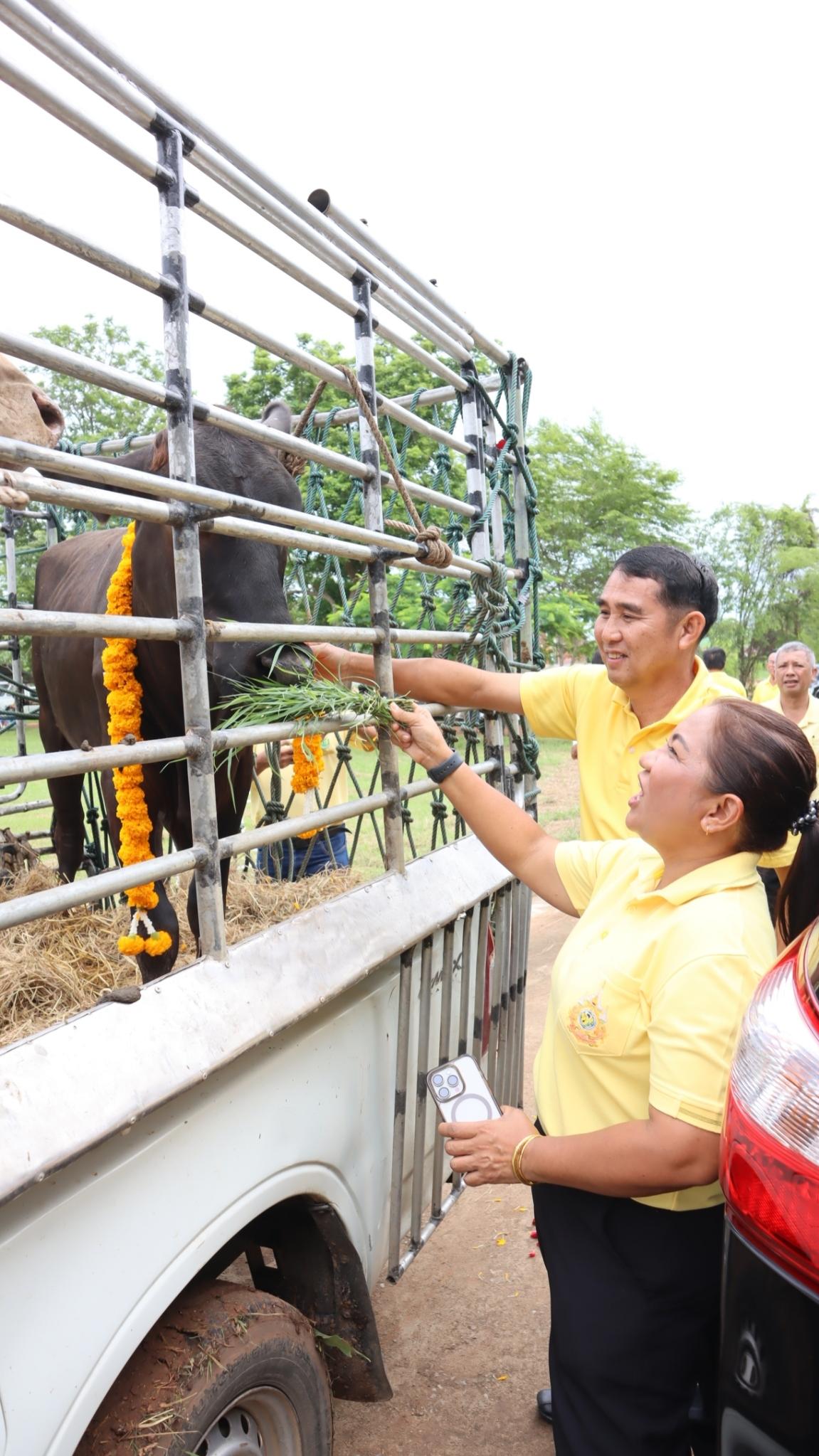 ภาพประกอบที่ 5