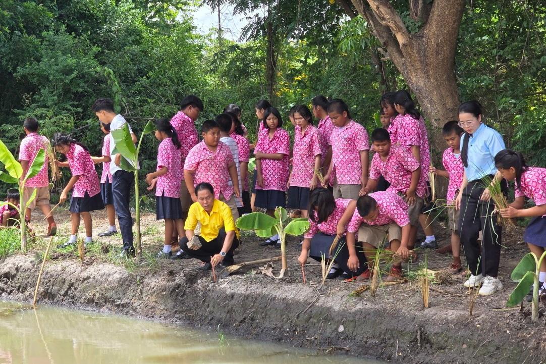 ภาพประกอบที่ 4