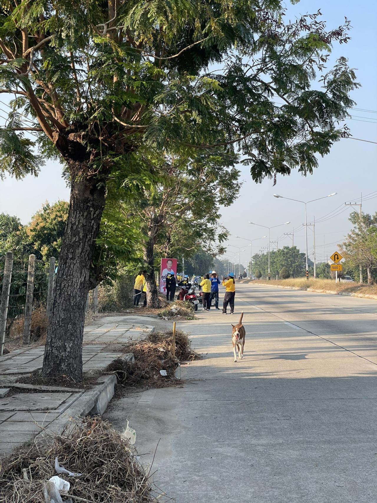 ภาพประกอบที่ 6