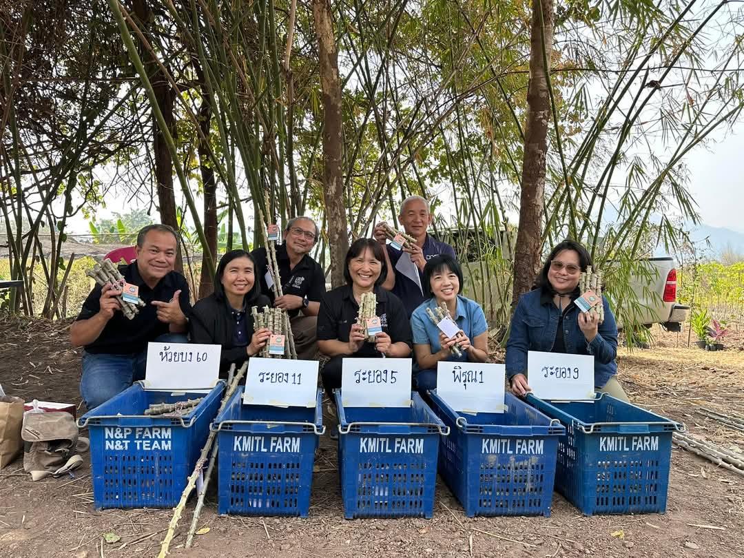 ภาพประกอบที่ 4