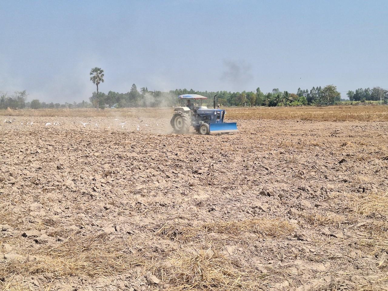 ภาพประกอบที่ 8