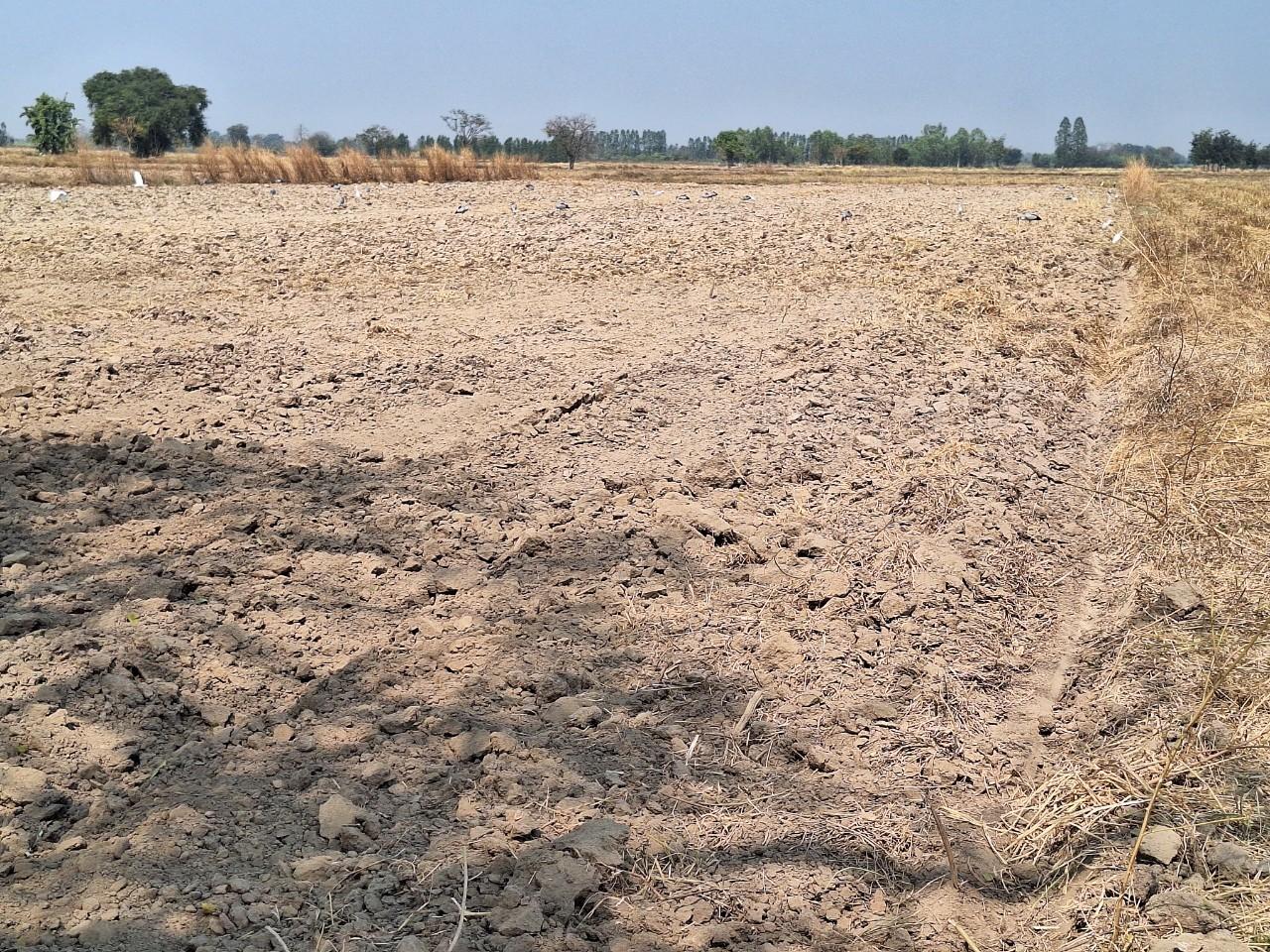 ภาพประกอบที่ 11