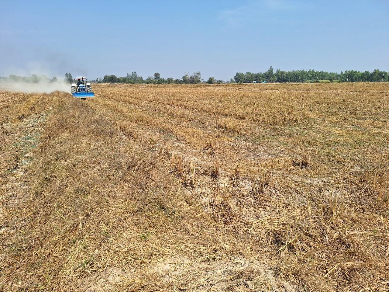 ภาพประกอบที่ 12