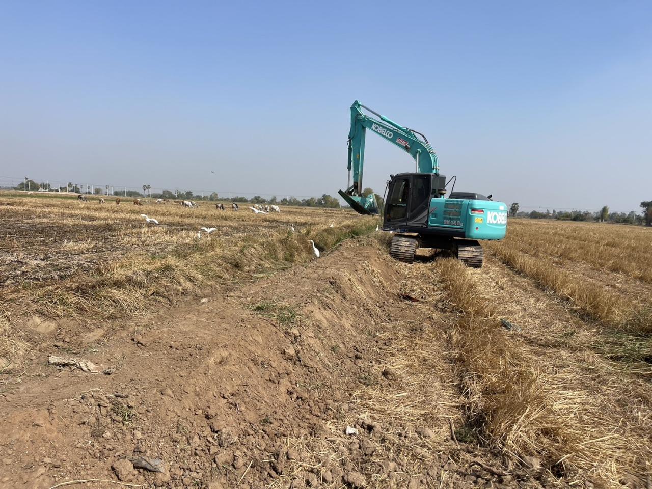 ภาพประกอบที่ 5