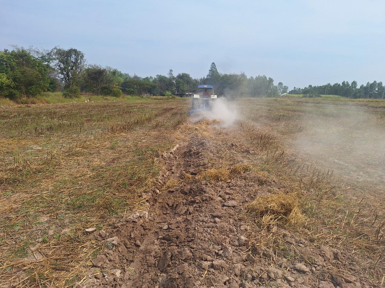 ภาพประกอบที่ 11