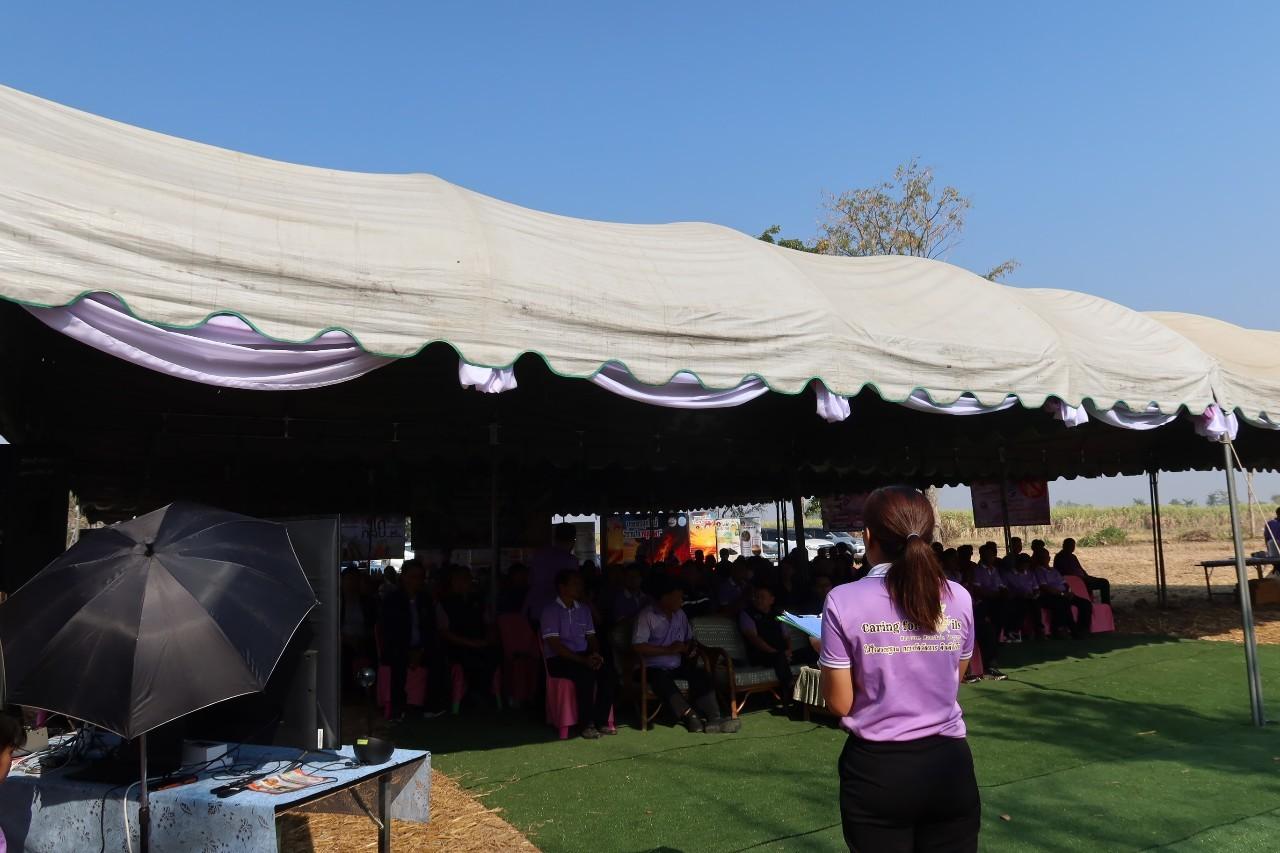 ภาพประกอบที่ 11