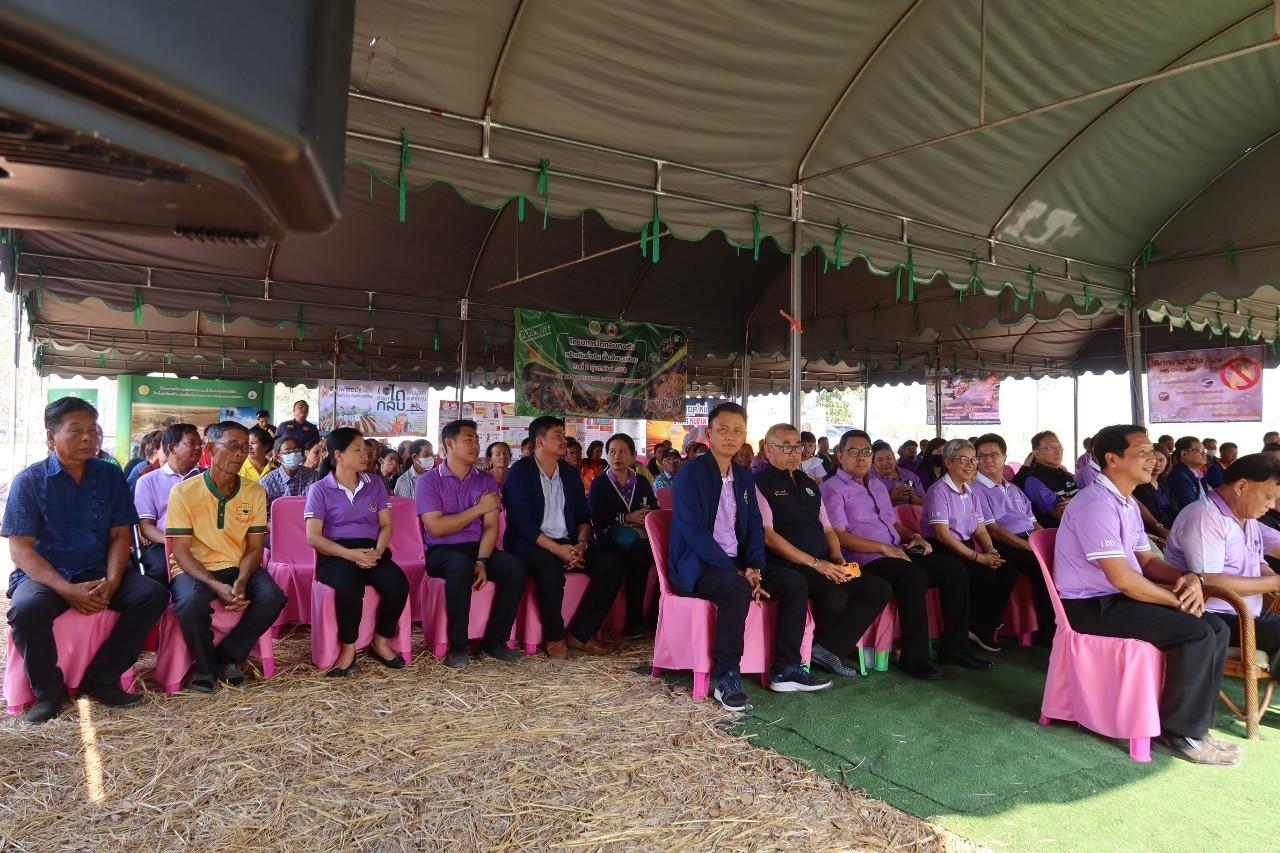 ภาพประกอบที่ 12