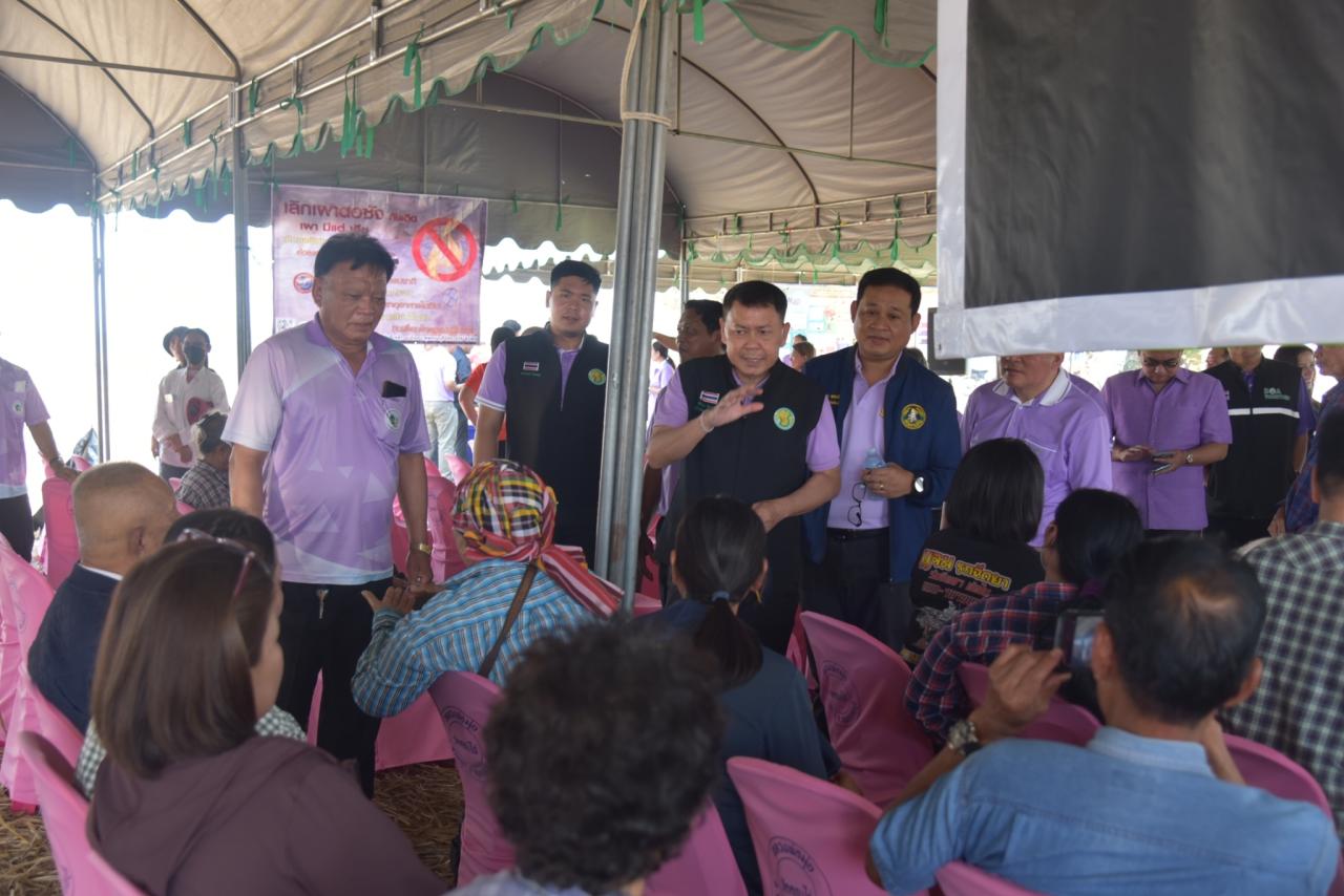 ภาพประกอบที่ 35