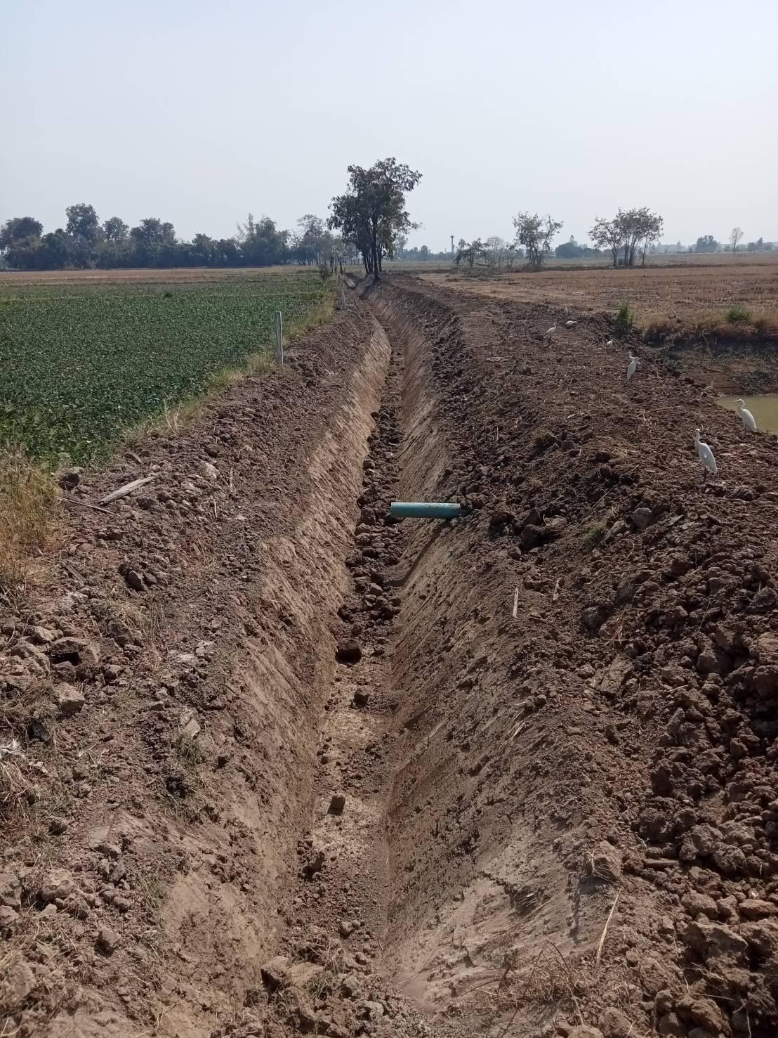 ภาพประกอบที่ 7