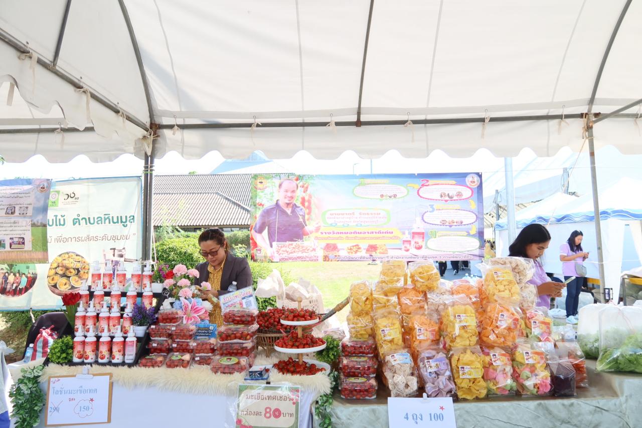 ภาพประกอบที่ 10